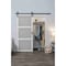 Renin Renin 36 in. x 84 in. Hall 3-Lite Complete Barn Door Kit BD061W01BW3TGE36084 - alternate 2